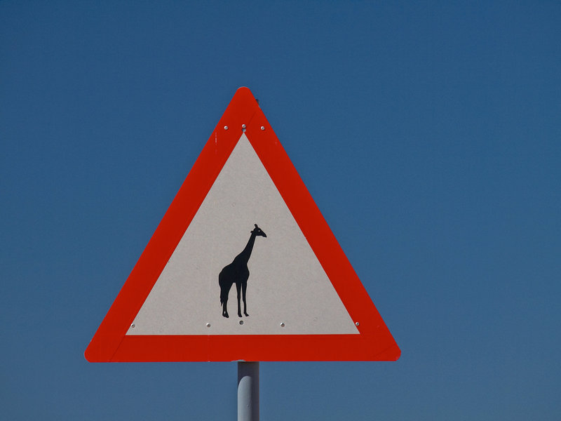 Namib Desert
